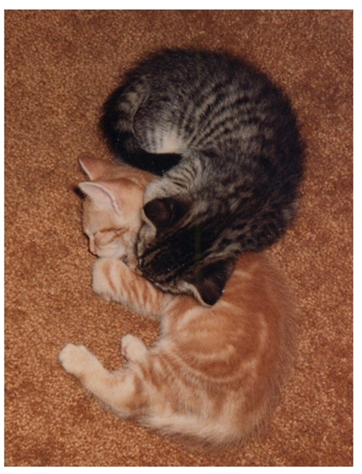 Photograph 084
